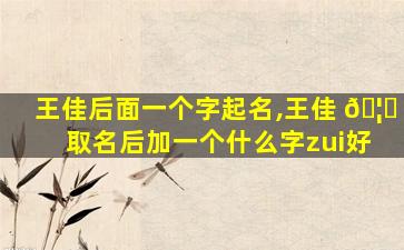 王佳后面一个字起名,王佳 🦟 取名后加一个什么字zui
好